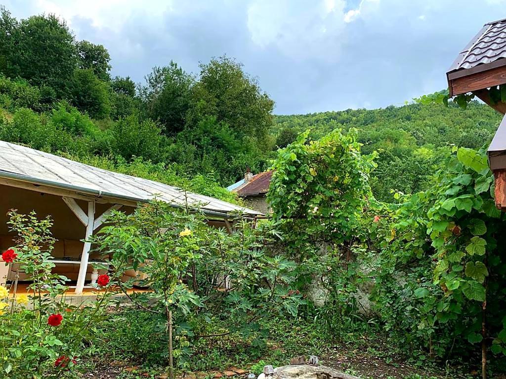 Вілла Casa Luna Betiluna Оравіца Екстер'єр фото